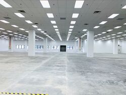 Kaki Bukit Avenue 1 (D14), Factory #449725251